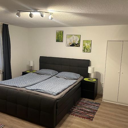 Ferienhaus Ayna, Direkt An Der Schweizer Grenze Bad Säckingen Eksteriør billede