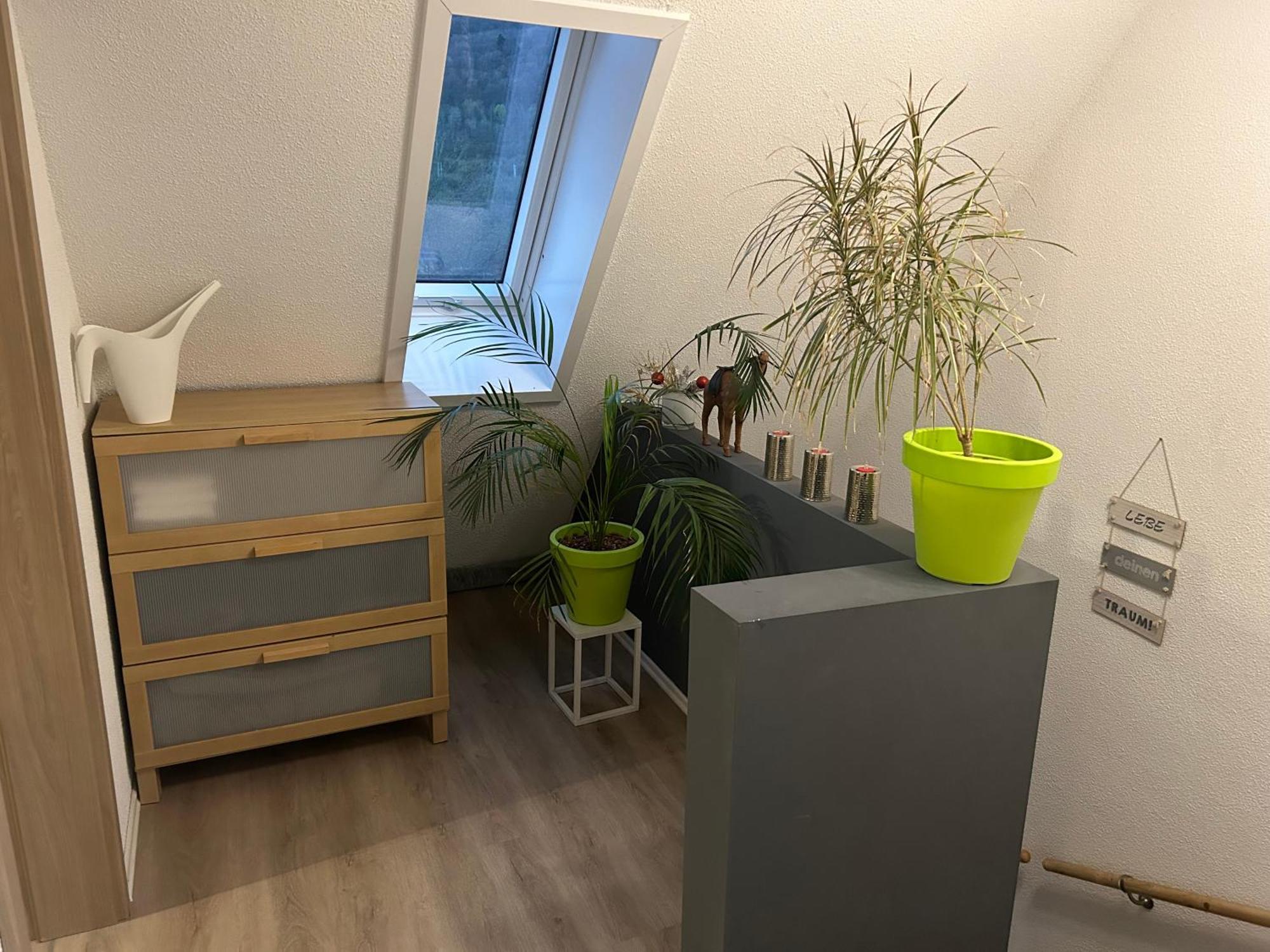 Ferienhaus Ayna, Direkt An Der Schweizer Grenze Bad Säckingen Eksteriør billede